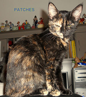 patches